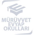 Murruvet Murruvet